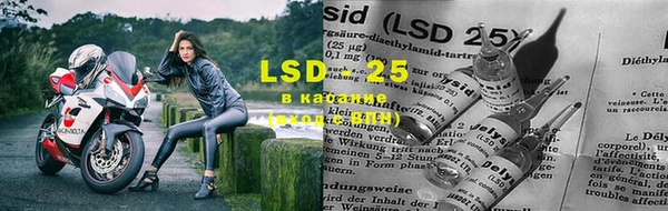 ПСИЛОЦИБИНОВЫЕ ГРИБЫ Бронницы
