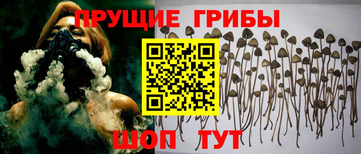 Псилоцибиновые грибы мухоморы Обь