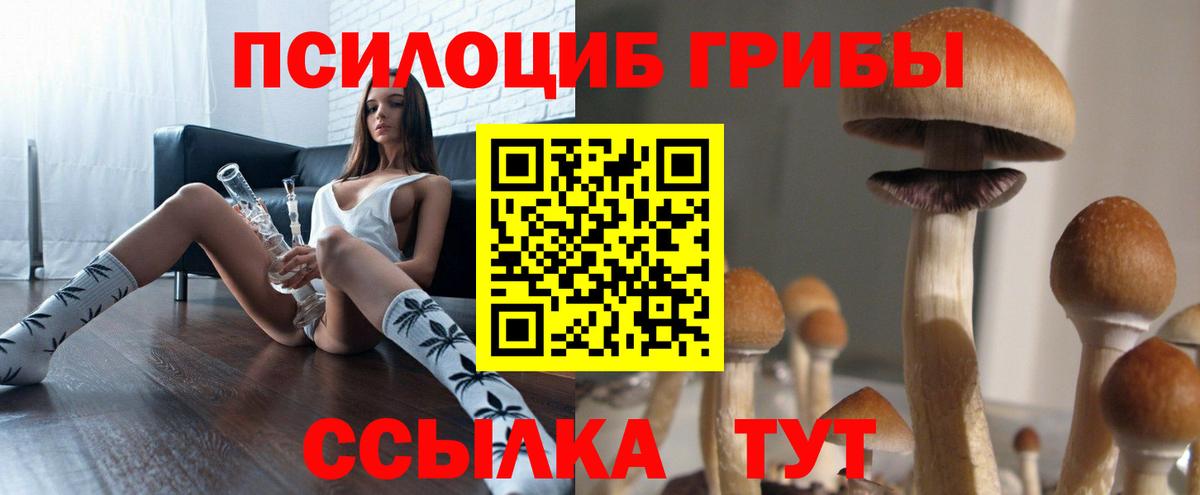 Обь  Псилоцибиновые грибы прущие грибы  наркотики  Псилоцибиновые грибы мухоморы  Вход с VPN 