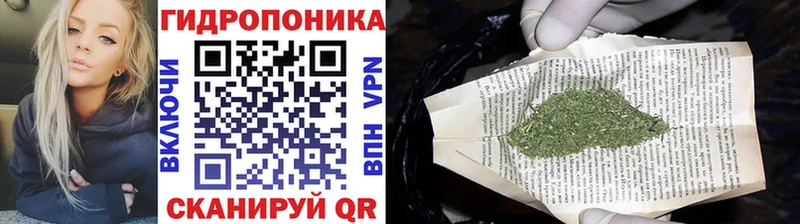 Бошки Шишки тримм  Обь 